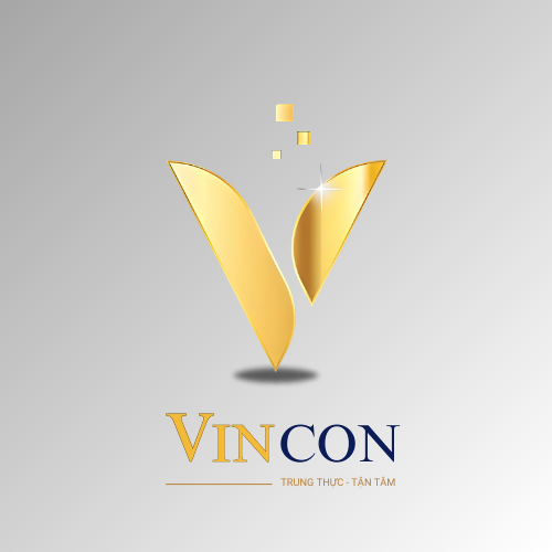 Giới thiệu Vincon Group và đội ngũ xây dựng