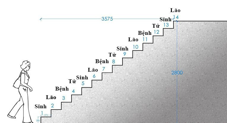 Cách tính số bậc thang trong nhà theo phong thủy và quy chuẩn xây dựng