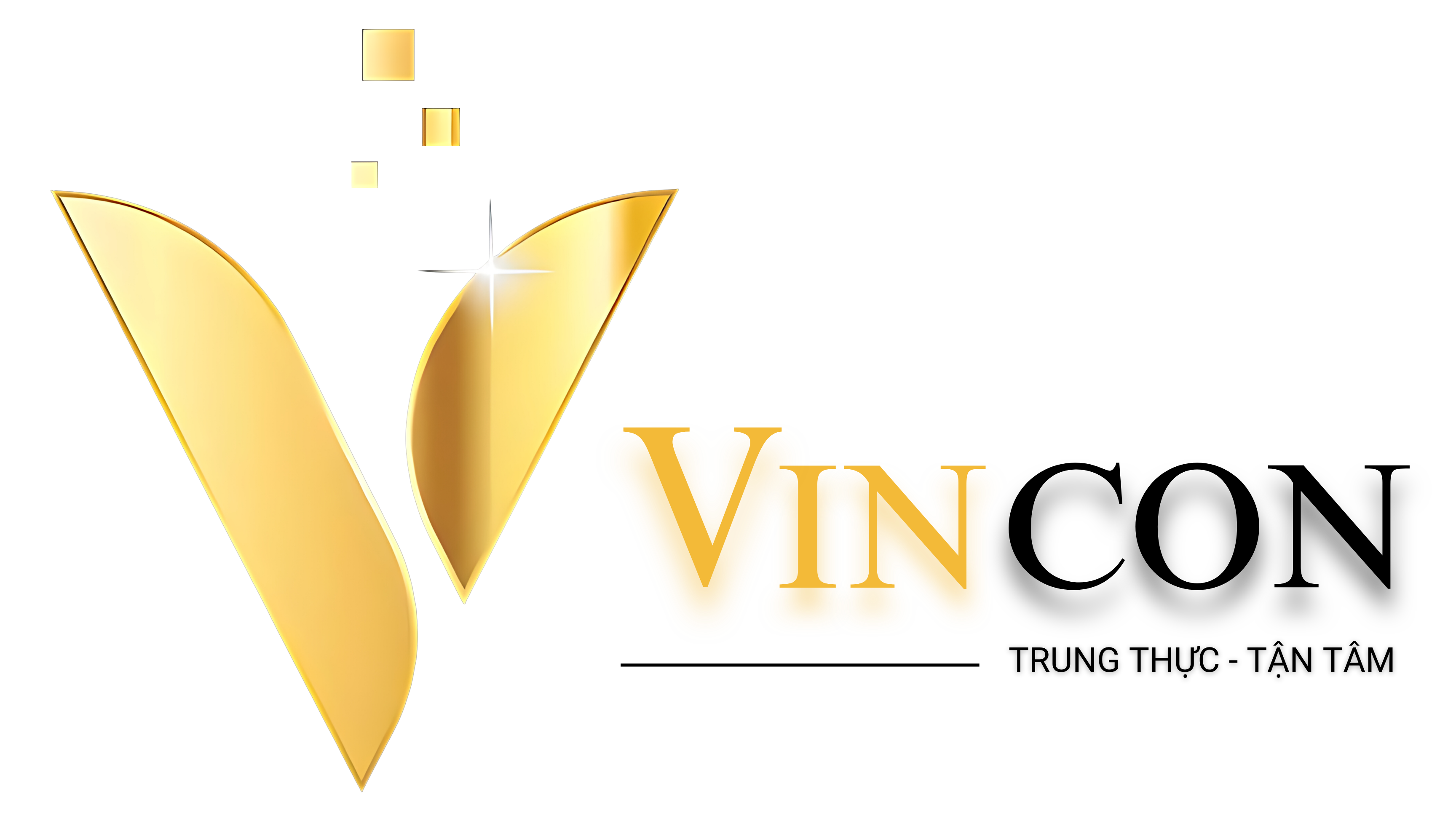 Công ty Cổ Phần Vincon Group